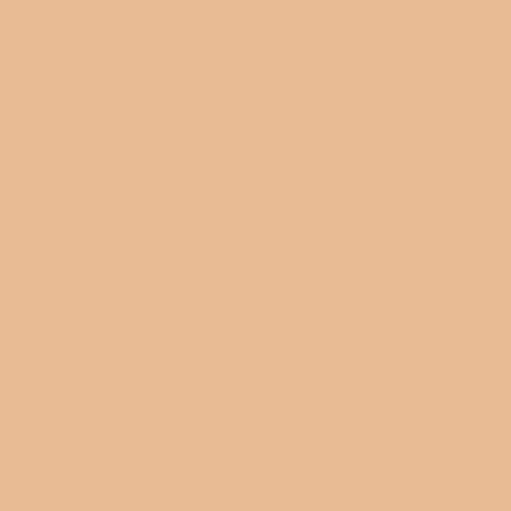 Elroel Blanc Cover Cream Stick 13g