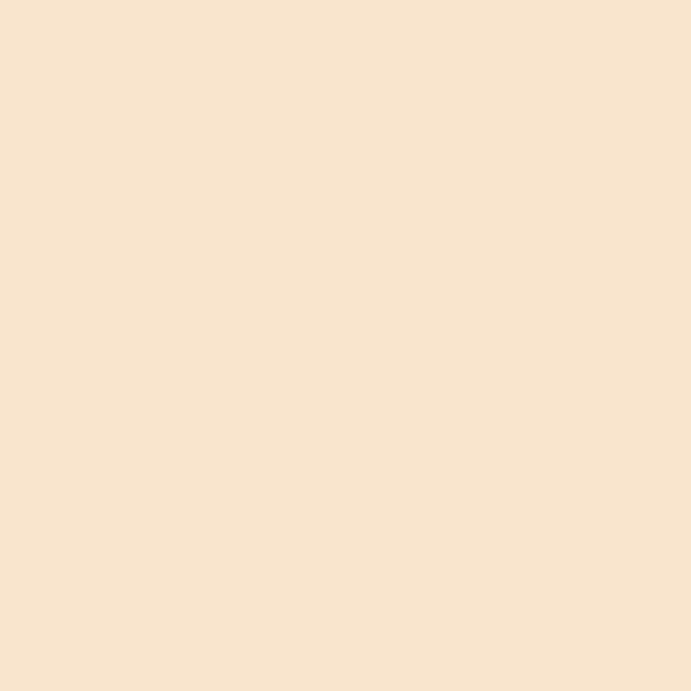 Elroel Blanc Cover Cream Stick 13g