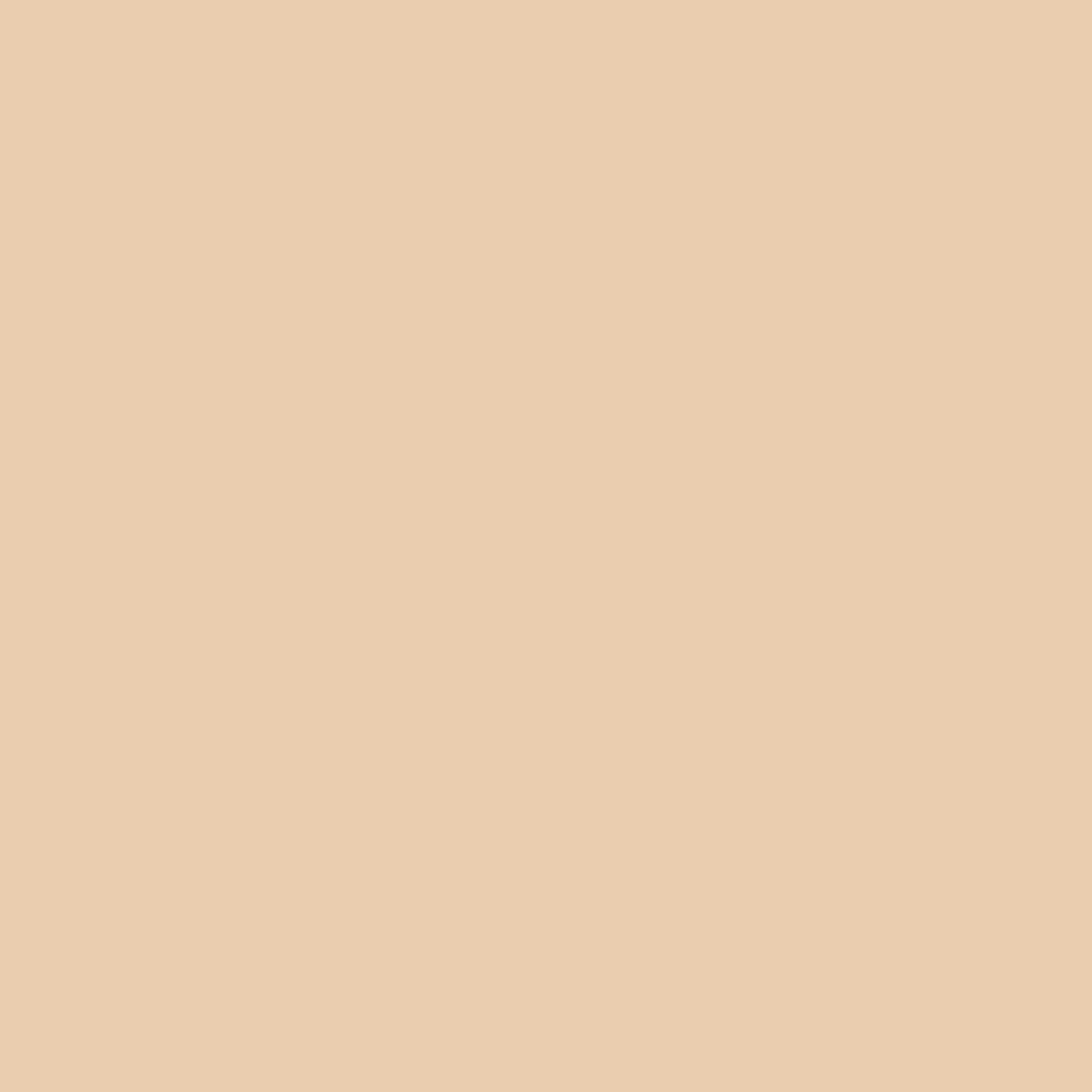Elroel Blanc Cover Cream Stick 13g